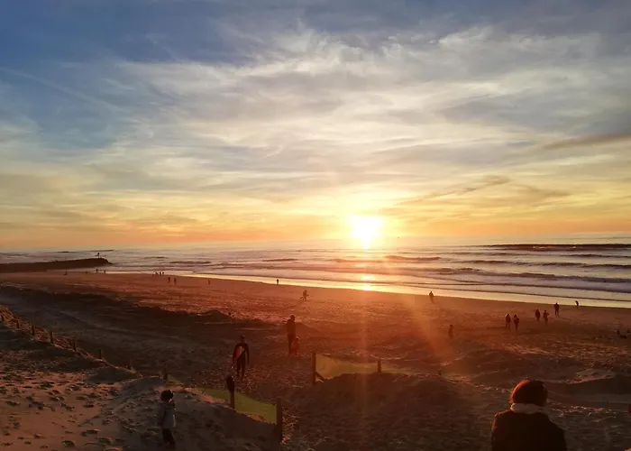 Cosy Lägenhet Mimizan-Plage